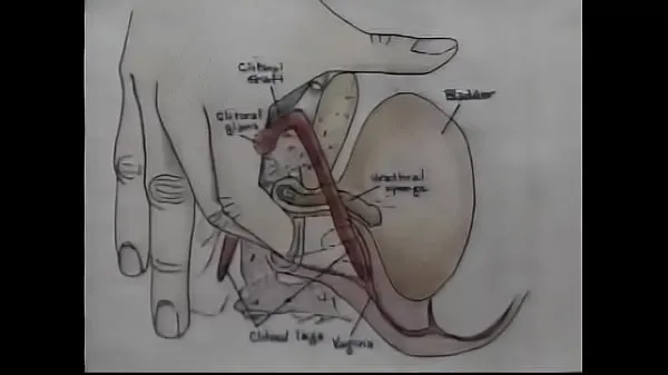 Novos Vídeo de treinamento de orgasmo para educação sexual clipes legais