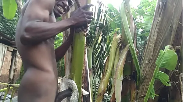 مقاطع جديدة Fucking plantain tree to cum رائعة