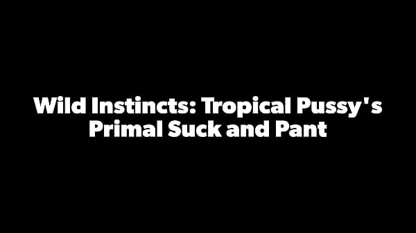 Новые Tropicalpussy — обновление № 22 — Wild Instincts: Primal Suck and Pant Tropical Pussy — 26 декабря 2023 г крутые клипы